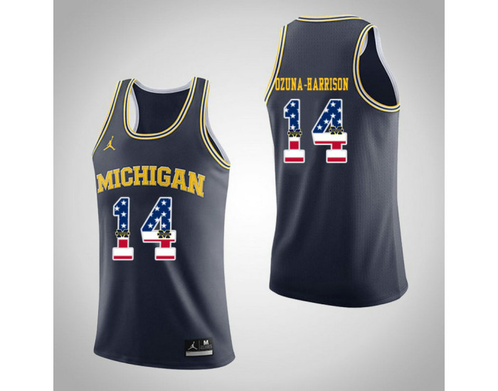 Michigan Wolverines #14 Rico Ozuna-Harrison Jordan Brand USA Flag Replica College Basketball Jersey Navy