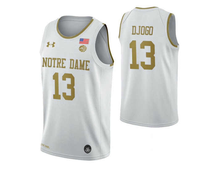 Youth Nikola Djogo Notre Dame Fighting Irish White Replica College Basketball Jersey