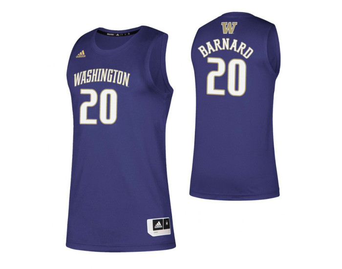 Washington Huskies #20 Quin Barnard Purple Authentic College Basketball Jersey